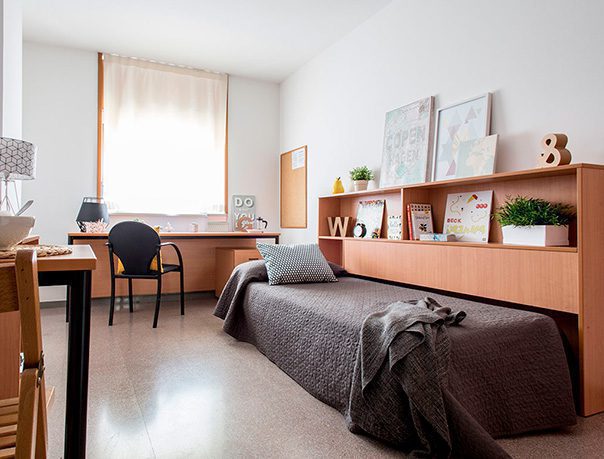 habitaciones universitarias campus montilivi estudio individual cama